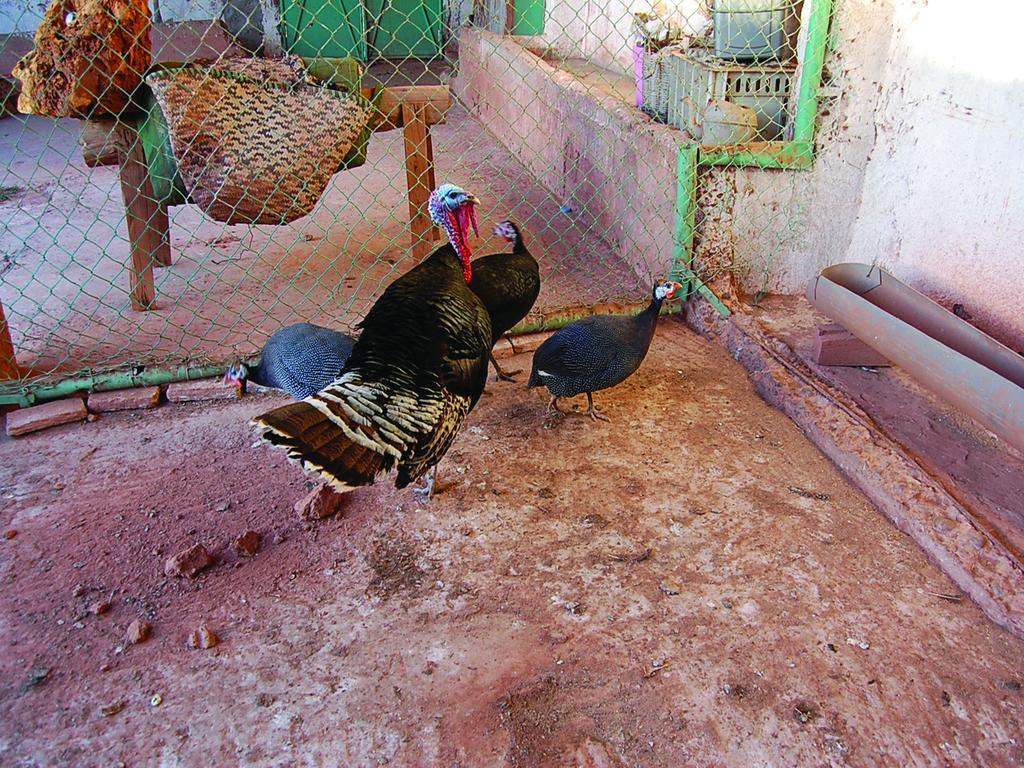 Gite Souss Oulad Teïma Exterior foto