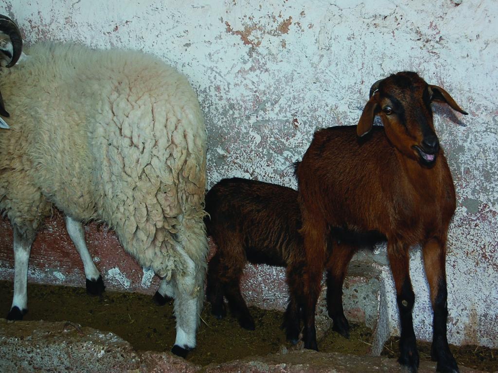 Gite Souss Oulad Teïma Exterior foto
